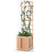All Things Cedar All Things Cedar Planter w/ Trellis Set 2 Pc Planter w/ Trellis - 20 Planter Box PL20-T
