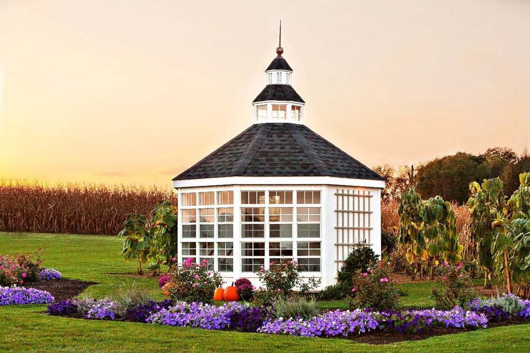 Little Cottage Co. Garden Shed Greenhouse - Panelized Kit Little Cottage Co. Specialty Buildings LCC-GSG
